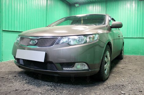 Защитная сетка радиатора ProtectGrille нижняя для KIA Cerato (2011-2013 Черная)